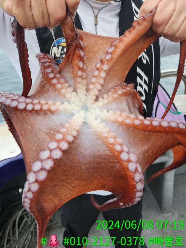 빠뽕호의 조황일지 이미지 - 15