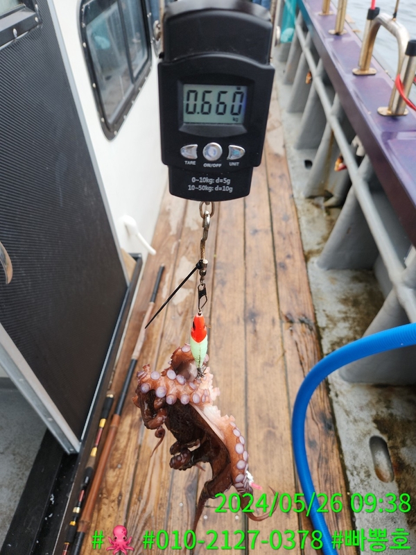 빠뽕호의 조황일지 이미지 - 13