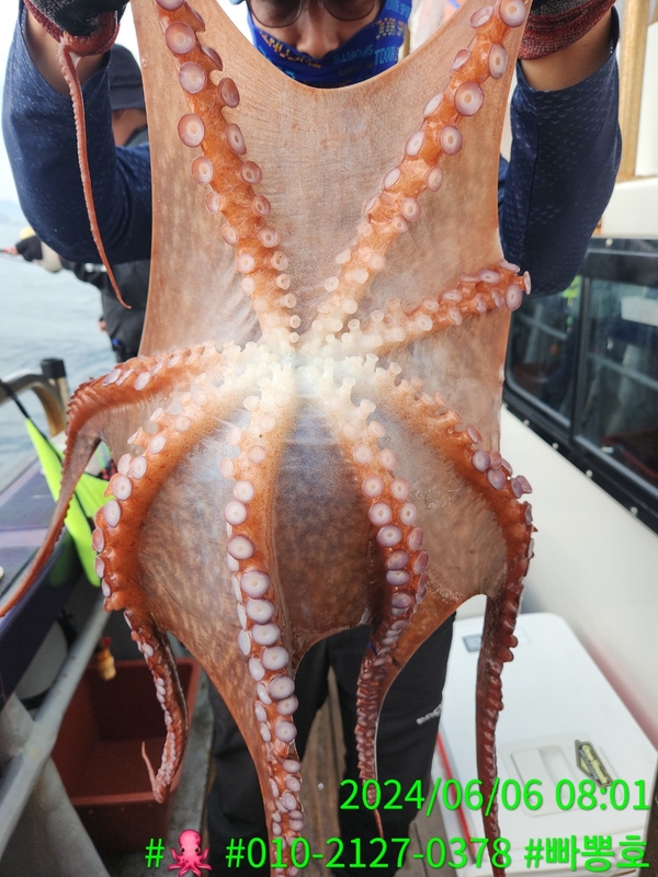 빠뽕호의 조황일지 이미지 - 10