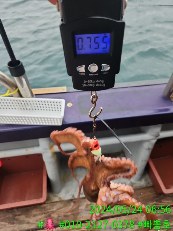 빠뽕호의 조황일지 이미지 - 8