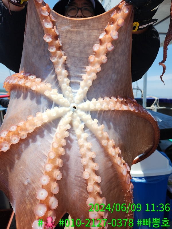 빠뽕호의 조황일지 이미지 - 0