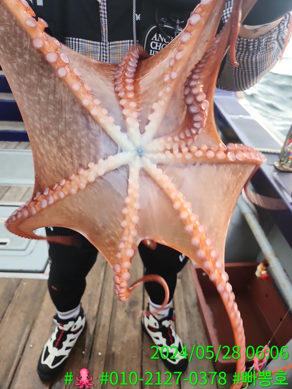 빠뽕호의 조황일지 이미지 - 6