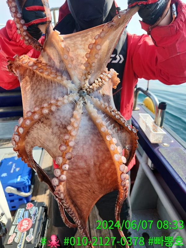 빠뽕호의 조황일지 이미지 - 13