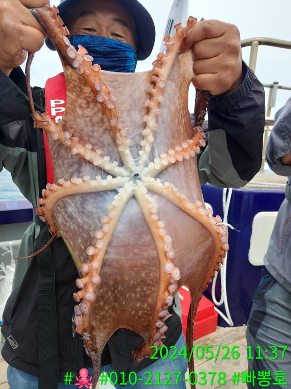 빠뽕호의 조황일지 이미지 - 1