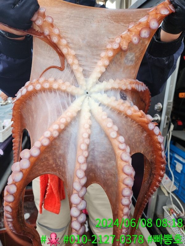 빠뽕호의 조황일지 이미지 - 13