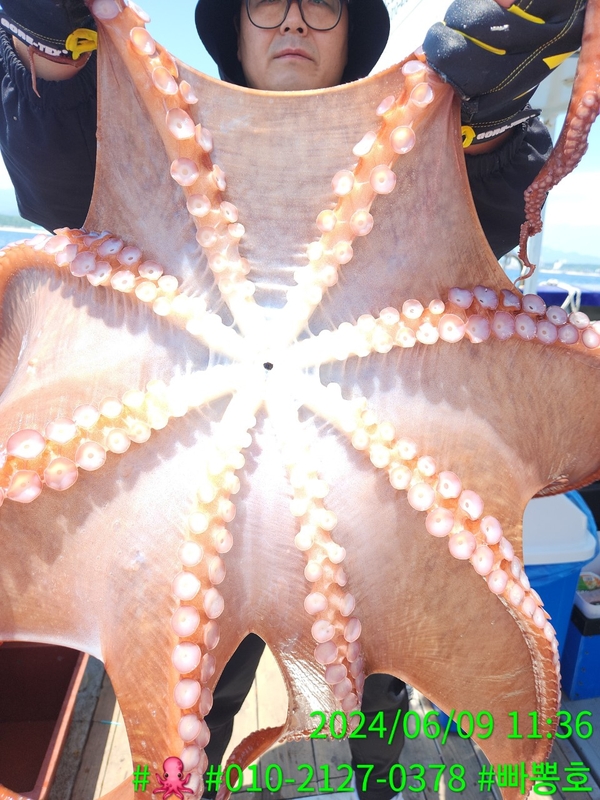 빠뽕호의 조황일지 이미지 - 2