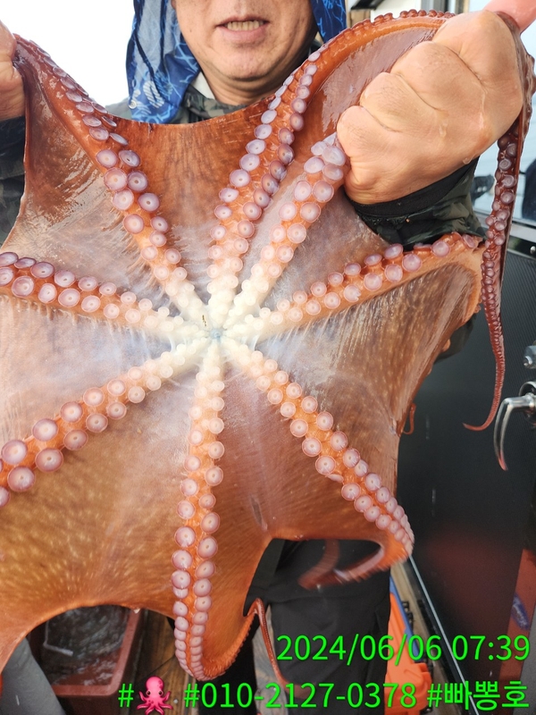 빠뽕호의 조황일지 이미지 - 6