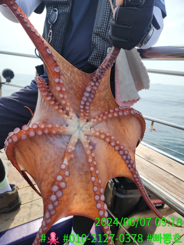 빠뽕호의 조황일지 이미지 - 17