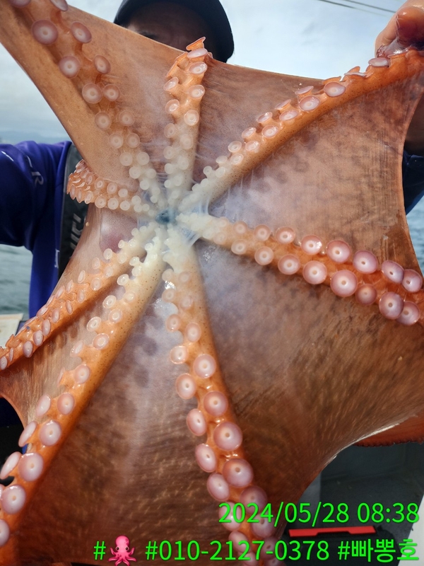 빠뽕호의 조황일지 이미지 - 2