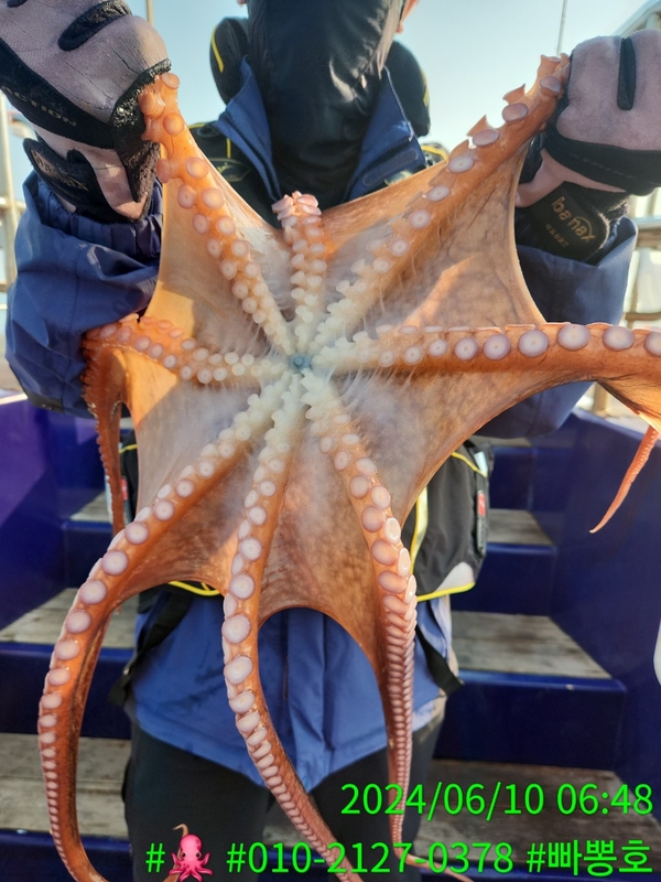 빠뽕호의 조황일지 이미지 - 8