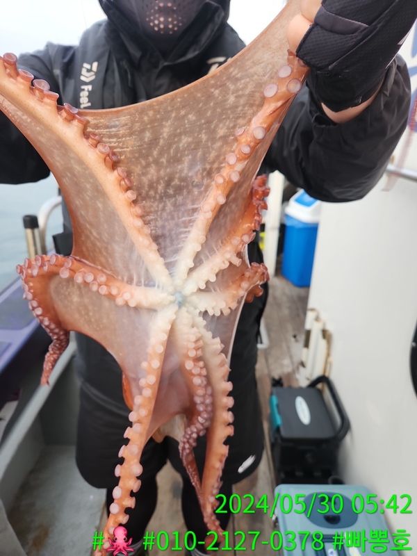 빠뽕호의 조황일지 이미지 - 8