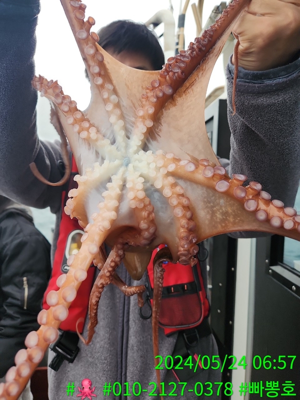 빠뽕호의 조황일지 이미지 - 7