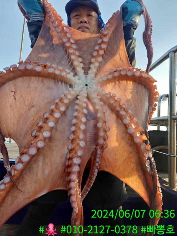 빠뽕호의 조황일지 이미지 - 10