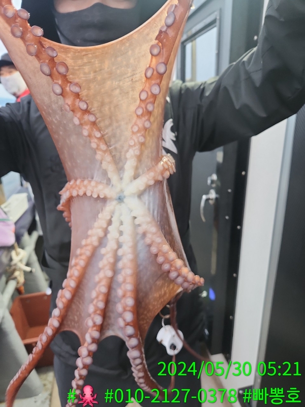 빠뽕호의 조황일지 이미지 - 13