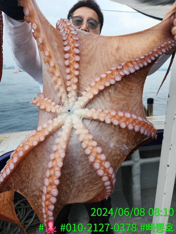 빠뽕호의 조황일지 이미지 - 3