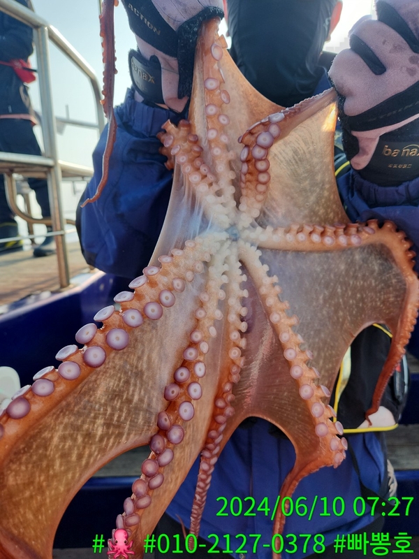 빠뽕호의 조황일지 이미지 - 11