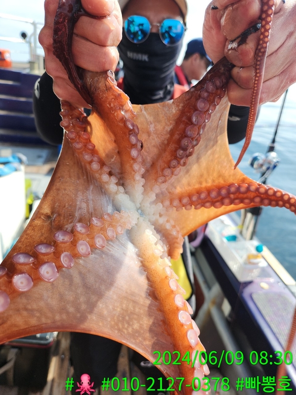 빠뽕호의 조황일지 이미지 - 9