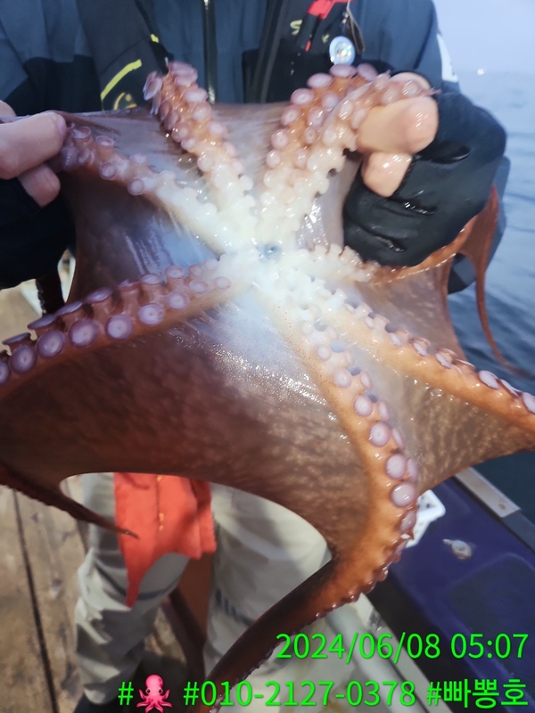 빠뽕호의 조황일지 이미지 - 14