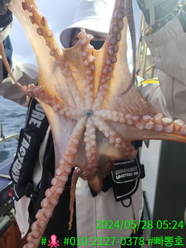 빠뽕호의 조황일지 이미지 - 8