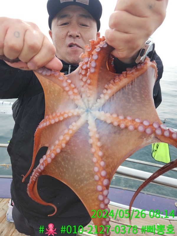 빠뽕호의 조황일지 이미지 - 8