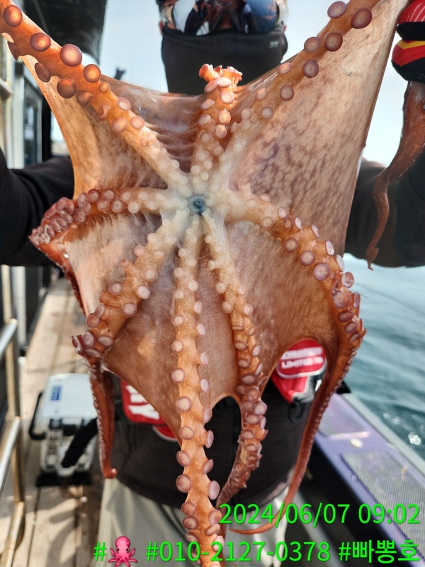 빠뽕호의 조황일지 이미지 - 8