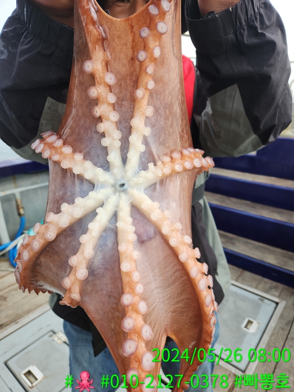 빠뽕호의 조황일지 이미지 - 9