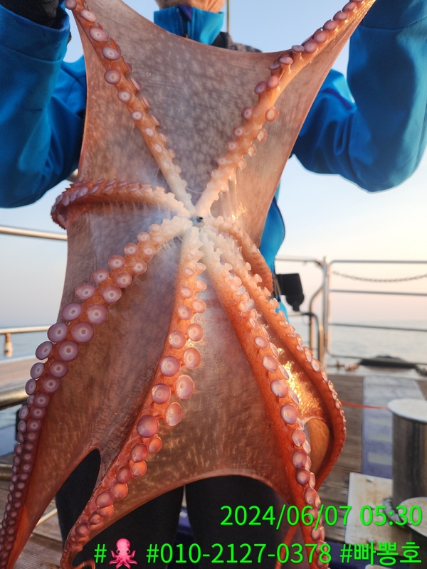 빠뽕호의 조황일지 이미지 - 11