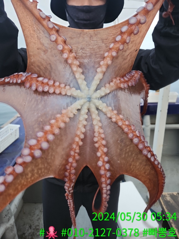 빠뽕호의 조황일지 이미지 - 16