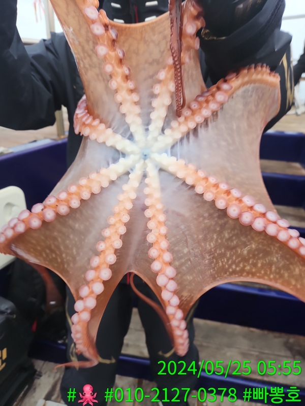 빠뽕호의 조황일지 이미지 - 8