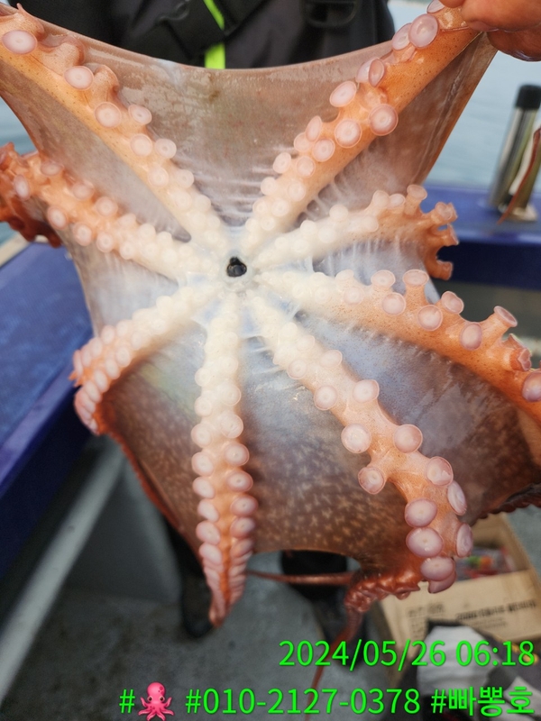 빠뽕호의 조황일지 이미지 - 6