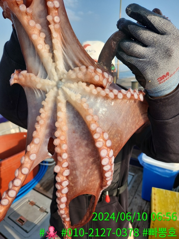 빠뽕호의 조황일지 이미지 - 7