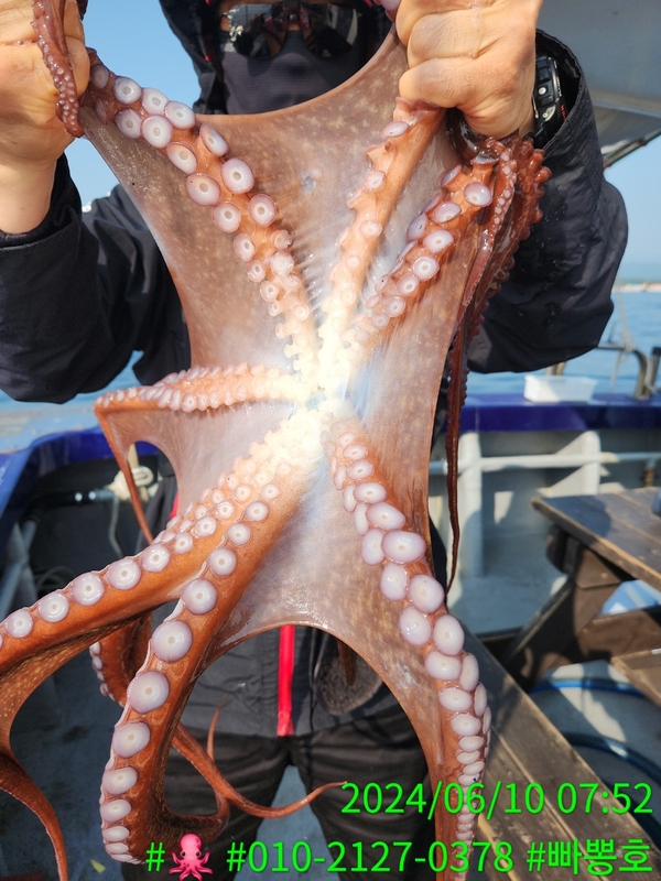 빠뽕호의 조황일지 이미지 - 10