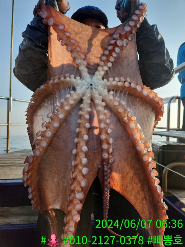 빠뽕호의 조황일지 이미지 - 0