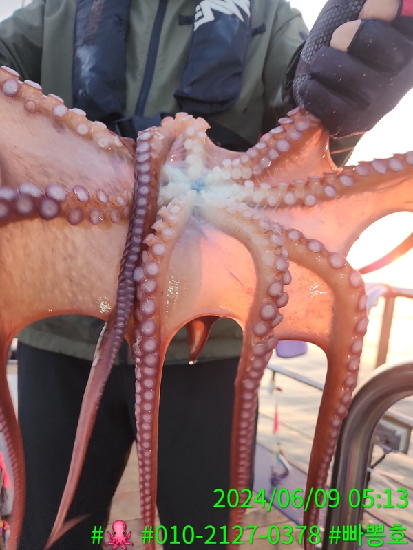 빠뽕호의 조황일지 이미지 - 19