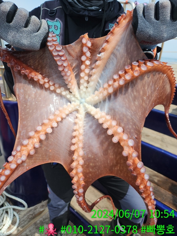 빠뽕호의 조황일지 이미지 - 6