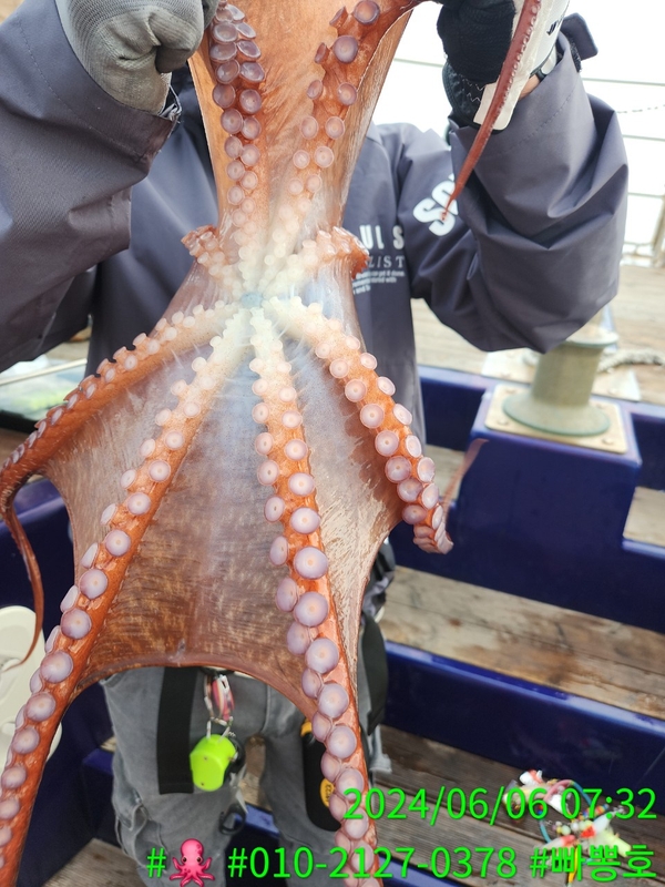 빠뽕호의 조황일지 이미지 - 15