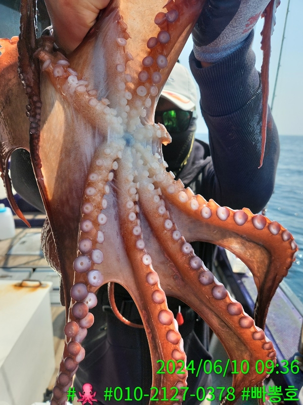 빠뽕호의 조황일지 이미지 - 12