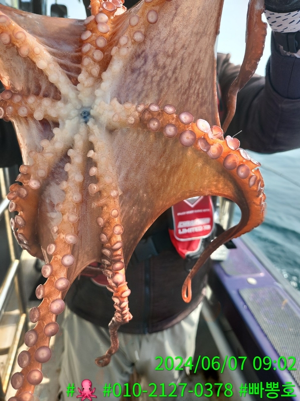 빠뽕호의 조황일지 이미지 - 18