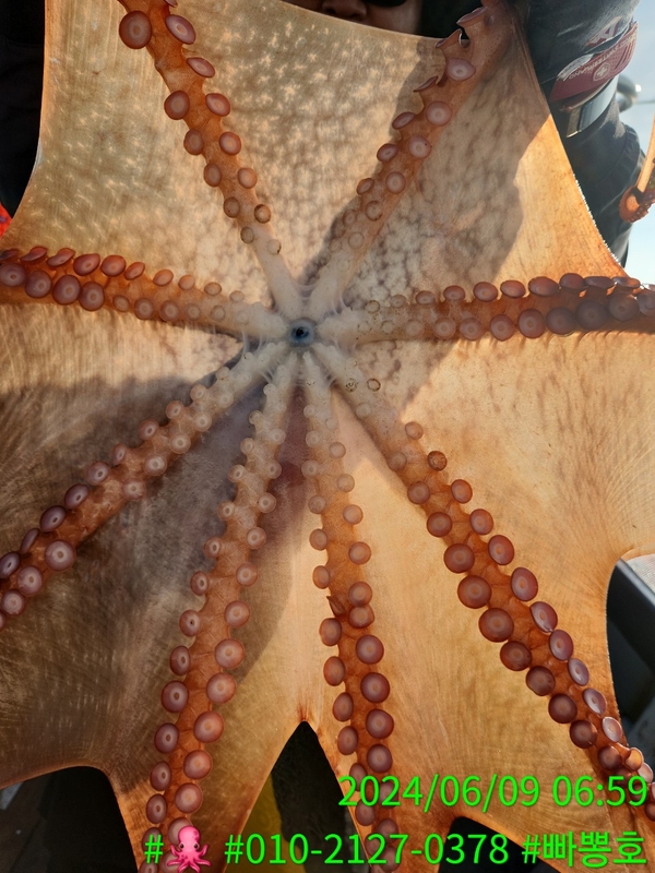 빠뽕호의 조황일지 이미지 - 15