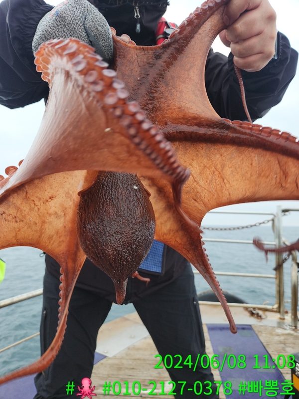 빠뽕호의 조황일지 이미지 - 8