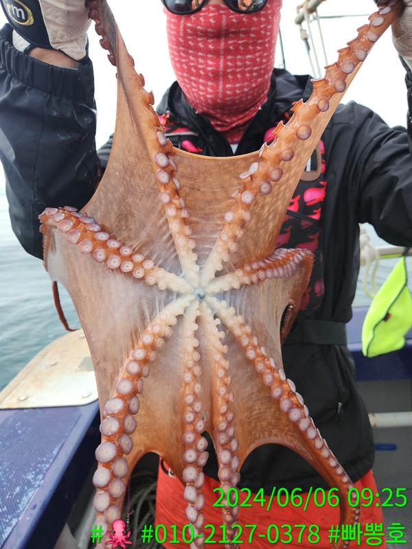 빠뽕호의 조황일지 이미지 - 9