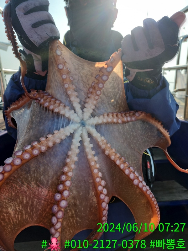 빠뽕호의 조황일지 이미지 - 5