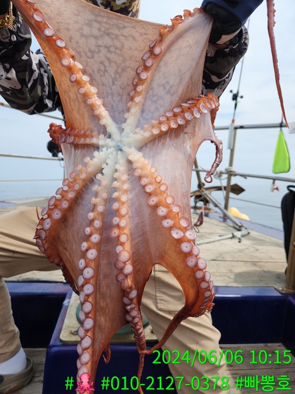 빠뽕호의 조황일지 이미지 - 7