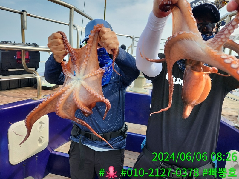 빠뽕호의 조황일지 이미지 - 1