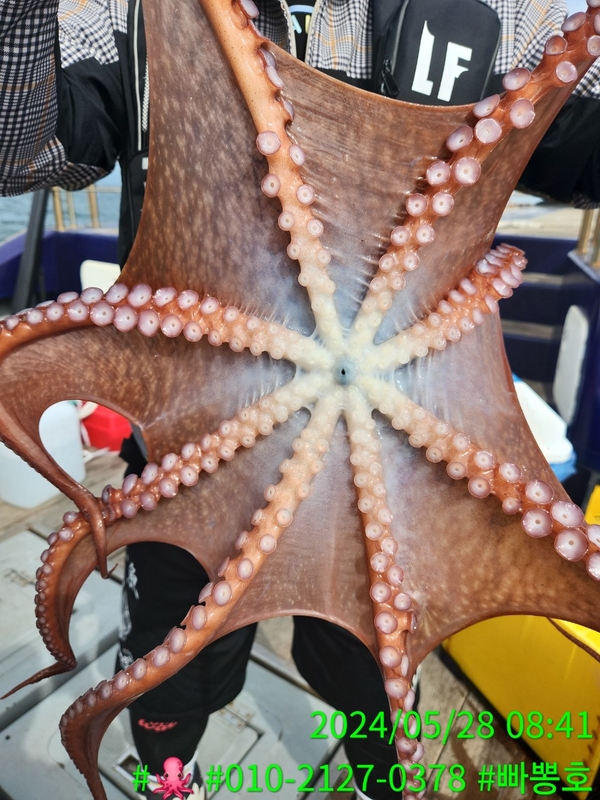 빠뽕호의 조황일지 이미지 - 1