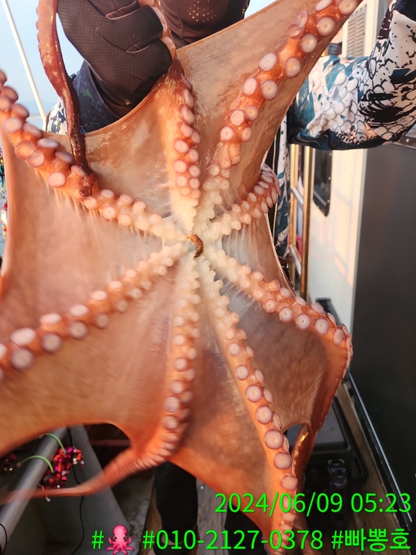 빠뽕호의 조황일지 이미지 - 17