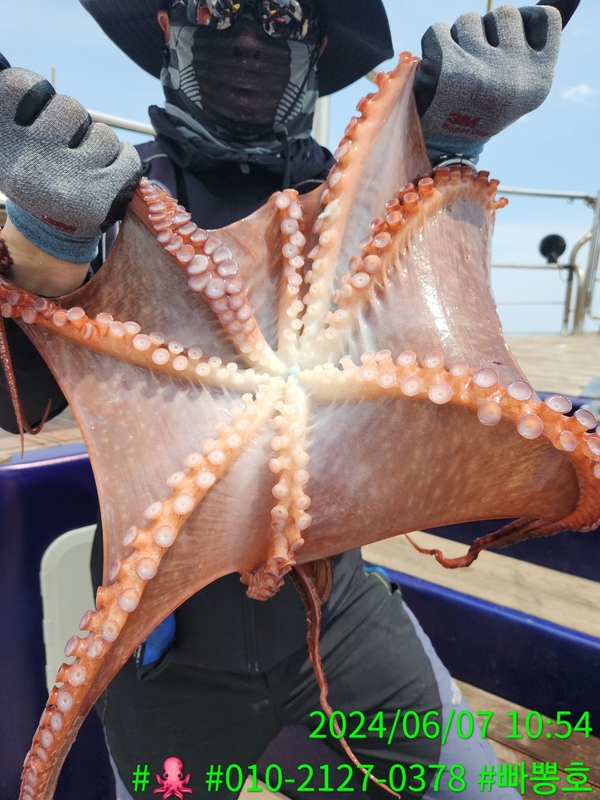 빠뽕호의 조황일지 이미지 - 19