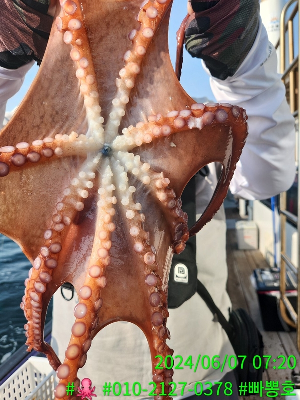 빠뽕호의 조황일지 이미지 - 15