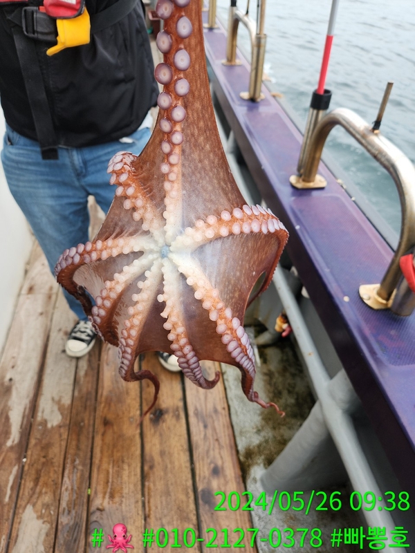 빠뽕호의 조황일지 이미지 - 14