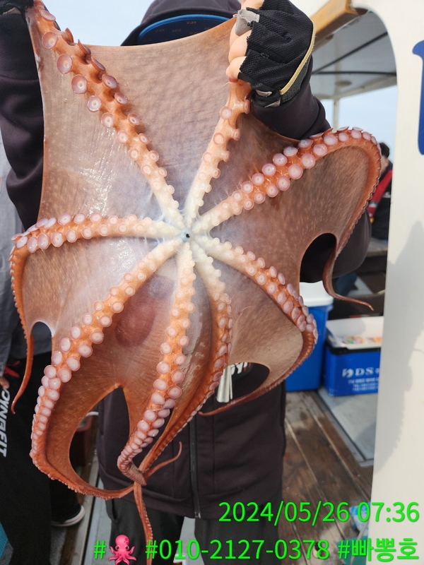 빠뽕호의 조황일지 이미지 - 5